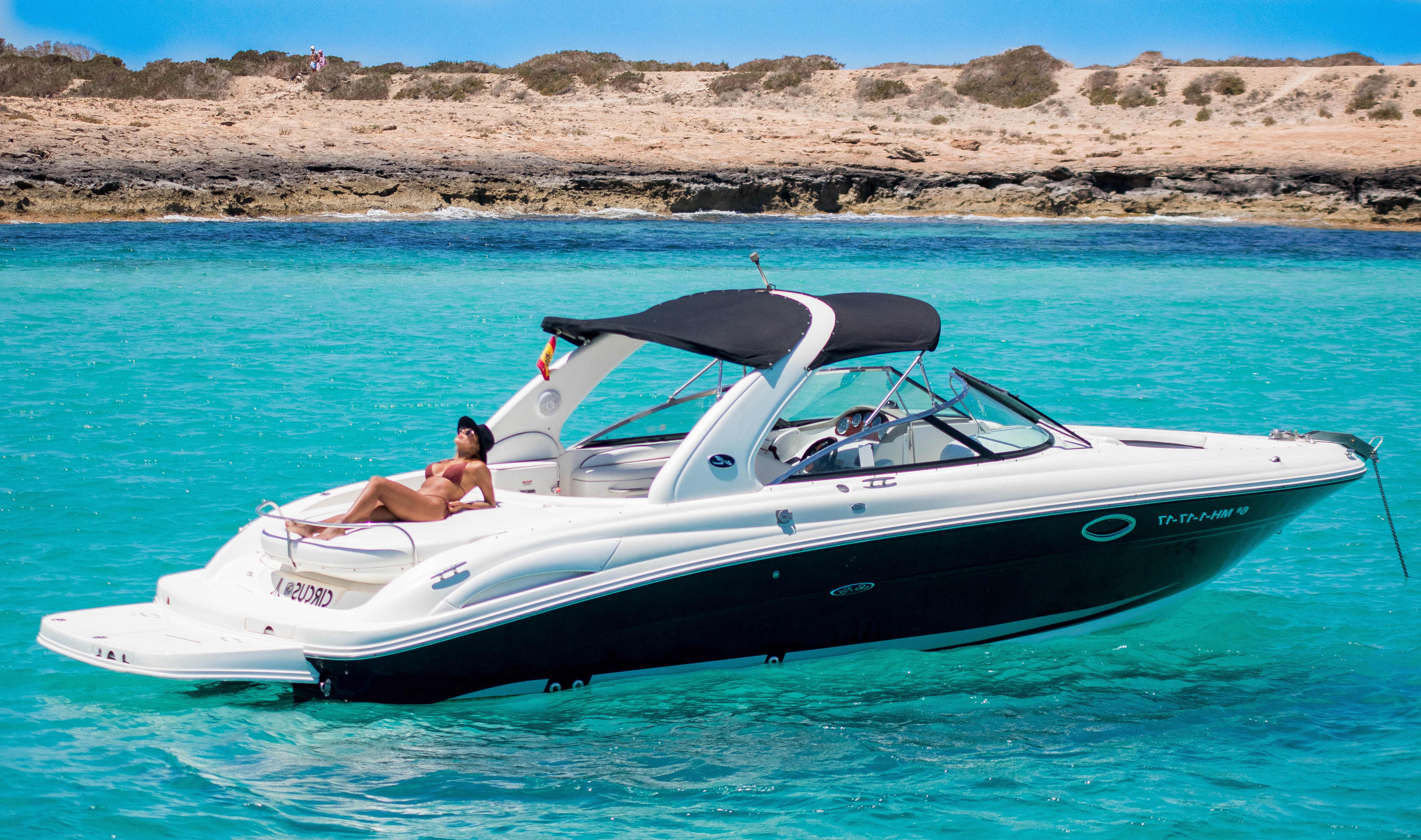 Sea Ray 290